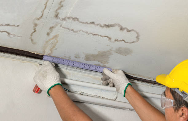 Reliable Burst Pipe Cleanup contractor in Shamrock, OK by Water Damage Irwin